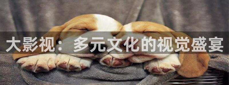 轨道影院设备：大影视：多元文化的视觉盛宴