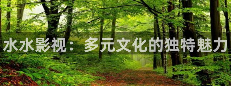阿哩乐轨道影院怎么样：水水影视：多元文化的独特魅力
