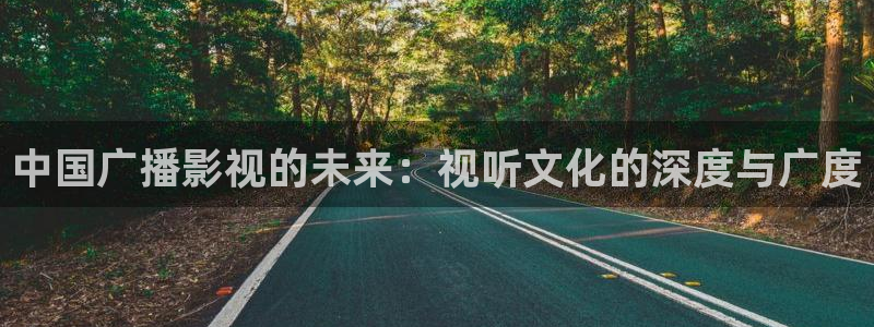 轨道电视：中国广播影视的未来：视听文化的深度与广度