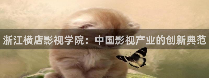 轨道电视：浙江横店影视学院：中国影视产业的创新典范