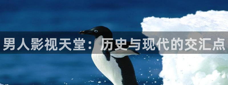 轨道影院公司：男人影视天堂：历史与现代的交汇点