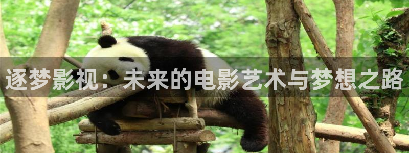 7d轨道影院怎么样：逐梦影视：未来的电影艺术与梦想之路