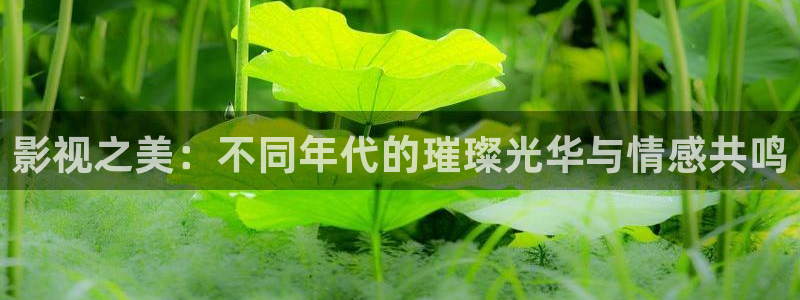 基本轨道电影：影视之美：不同年代的璀璨光华与情感共鸣