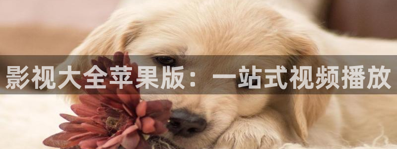 vr轨道影院：影视大全苹果版：一站式视频播放