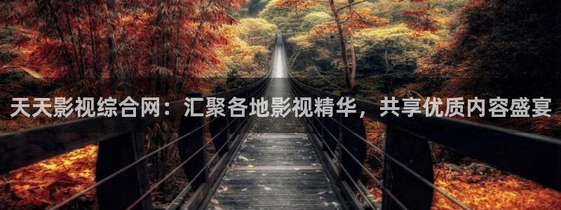 轨道影院投资多少钱：天天影视综合网：汇聚各地影视精华，共享优质内容盛宴