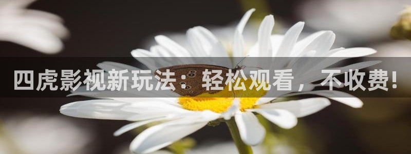 轨道环幕影院：四虎影视新玩法：轻松观看，不收费!
