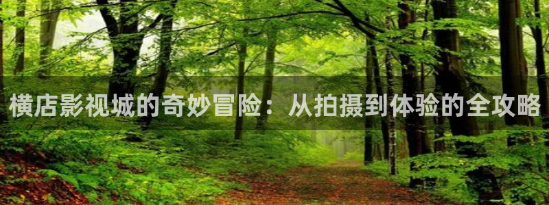 轨道电影院：横店影视城的奇妙冒险：从拍摄到体验的全攻略